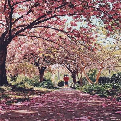 ag入口官网登录下载手机版