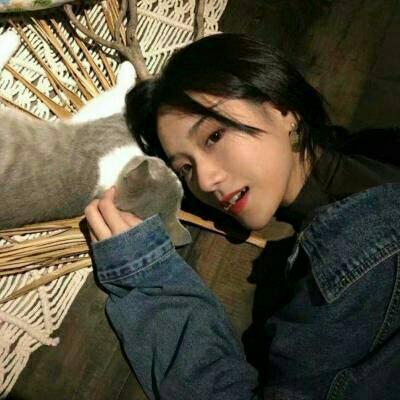 星空体育手机网页版