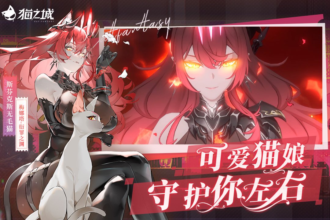 《猫之城》重返旧闻前夕：致调查官的一封信