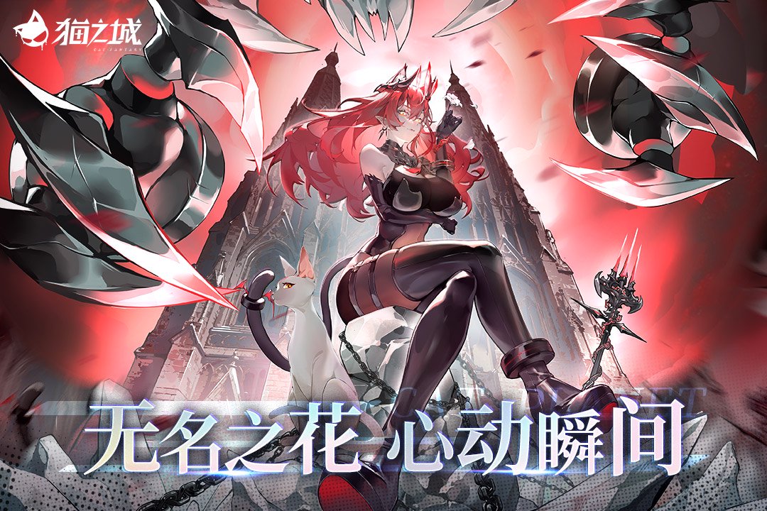 寻猫启事：你有看到日本短尾长毛猫吗？