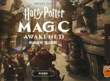 哈利波特魔法觉醒双人卡组玩法