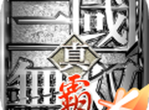 真·三国无双 霸