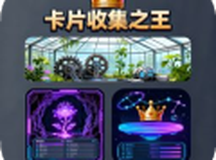 卡片收集之王