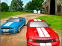 赛车拉力锦标赛