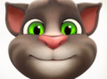 会说话的汤姆猫