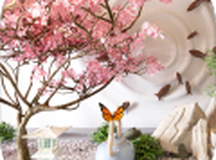 密室逃脱蝴蝶之谜