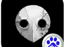 世纪福音战士手游