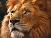 野兽领主：新世界