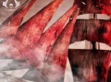 刺客信条：血帆