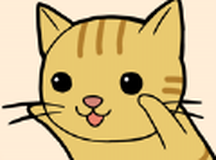 可爱的猫咪生活