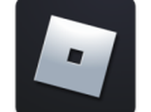 罗布乐思机场大亨