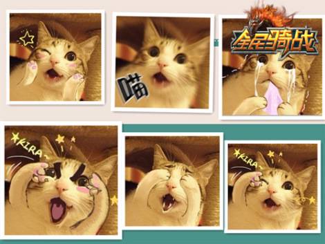 50级武器及装备合集