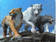 荒野老虎生存手游