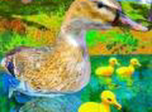 飞行鸭子生活模拟器