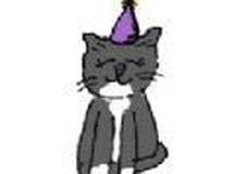 皮皮的生日派对