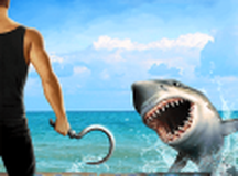 真实海上木筏求生