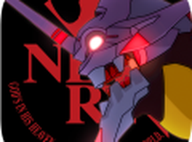 新世纪福音战士适格者