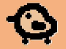 我和我的动物朋友