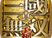 真•三国无双 霸